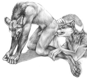 Image: 12348023