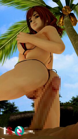 Image: 11041112