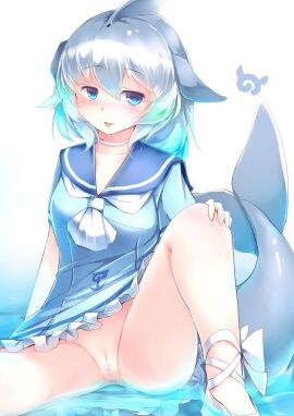 Image: 12044568