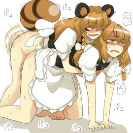 Image: 312991
