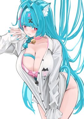 Image: 12797746