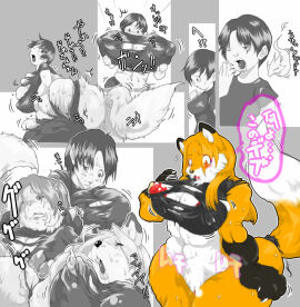 Image: 3125270