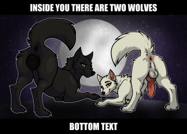 Image: 8222932