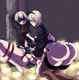 Image: 4860387