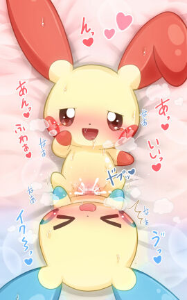 Image: 5291064