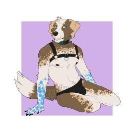 Image: 11768161