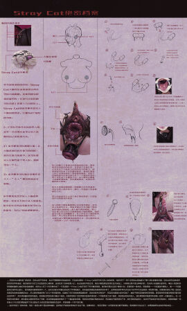 Image: 1291770