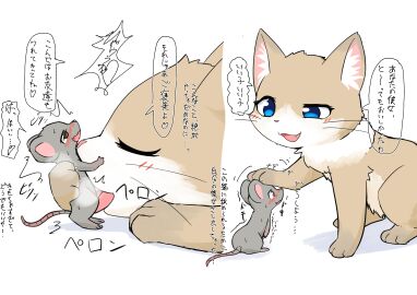 Image: 5504371