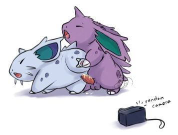 Image: 51390