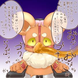 Image: 3702522