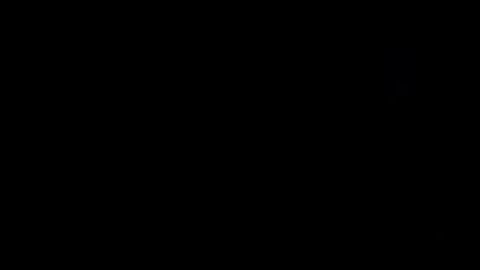 Image: 13107207