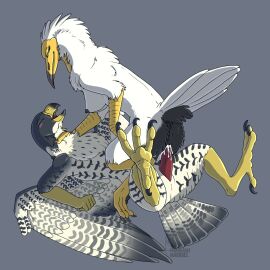 Image: 1643177