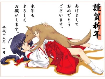 Image: 2948783