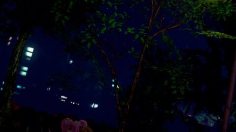Image: 13089555