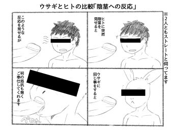 Image: 7176113