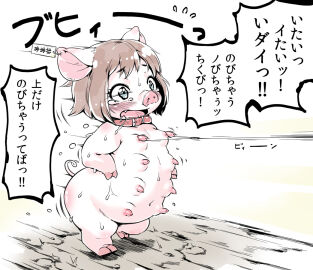 Image: 4583219