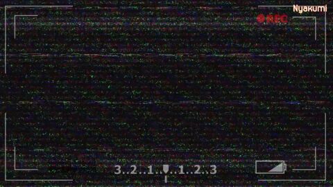 Image: 3407230