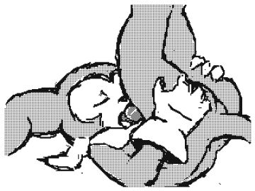 Image: 1953795