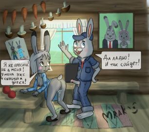 Image: 11454666