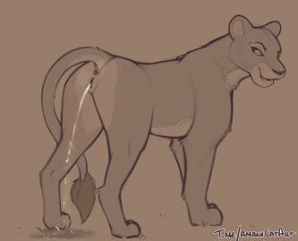 Image: 5964332