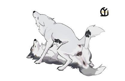 Image: 11816897