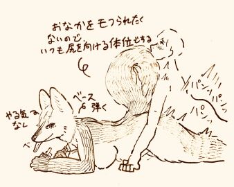 Image: 11869405