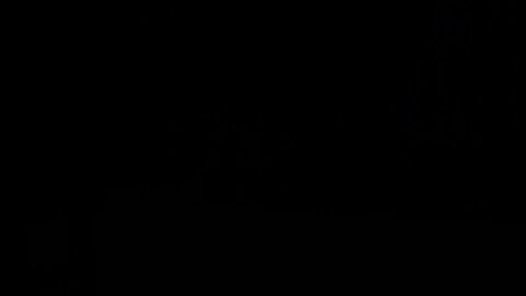 Image: 8179488