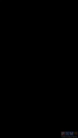 Image: 13062044