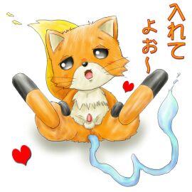 Image: 5348193