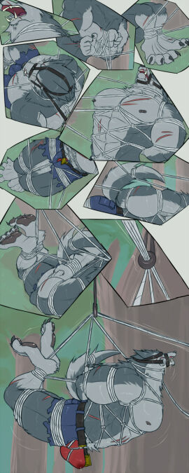 Image: 9797808