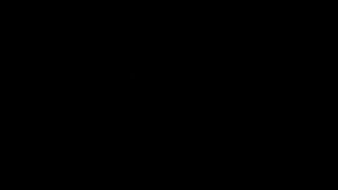 Image: 13078617