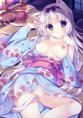 Image: 13096379