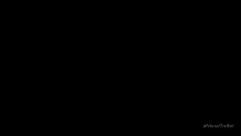 Image: 13060011