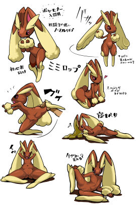Image: 5838187