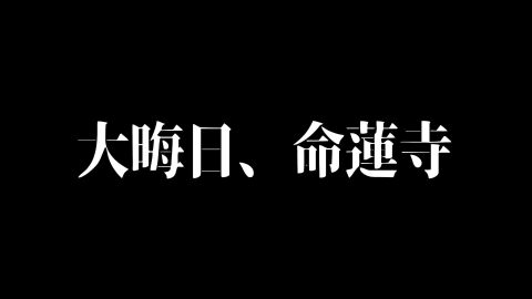 Image: 13052624