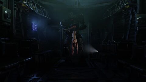 Image: 13041808