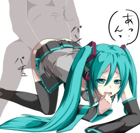 Image: 1167595