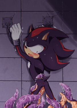 Image: 929046