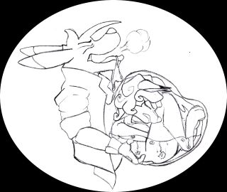 Image: 11746693