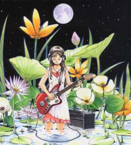 Image: 2982867