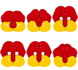 Image: 10088422
