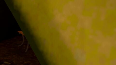 Image: 5181937