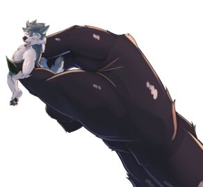 Image: 12293572