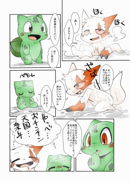 Image: 2508937