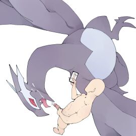 Image: 11961920