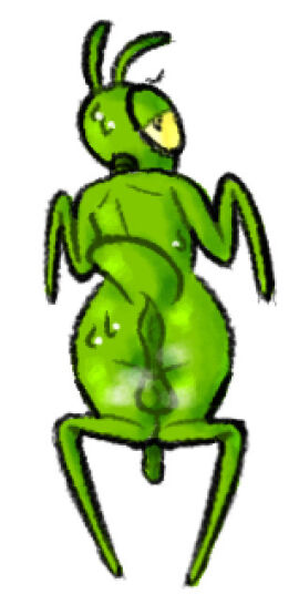 Image: 9969872