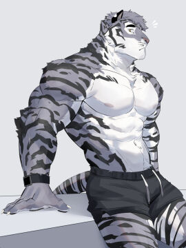 Image: 8835812
