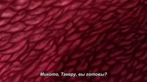 Image: 8034094