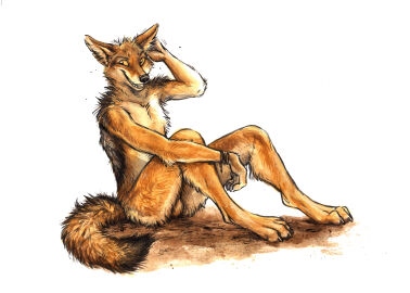 Image: 583026