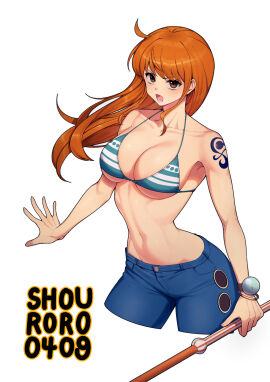Image: 12051427